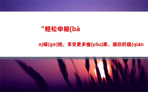 個(gè)人所得稅aqq(中國(guó)個(gè)人所得稅app下載)